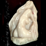 Rencontre de fin d’automne – 2018